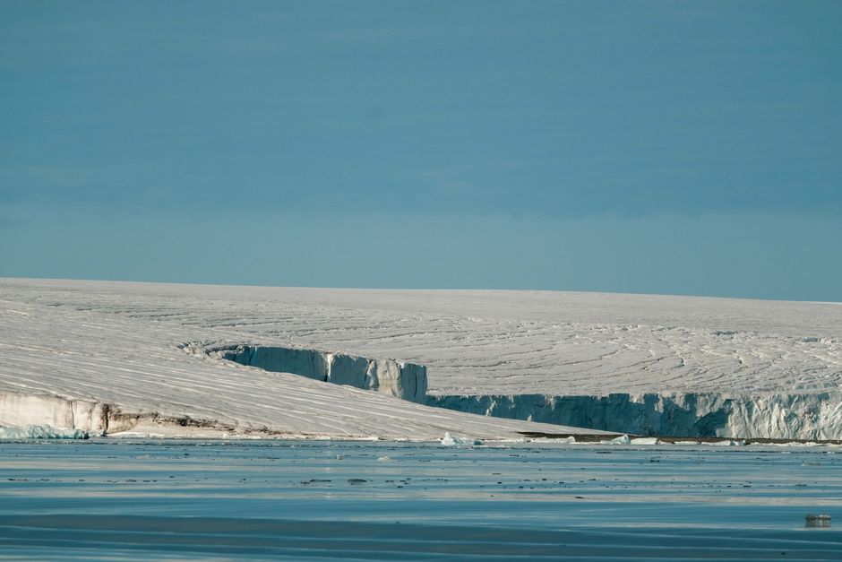 Antarctic grass spreading as climate change transforms the frozen continent