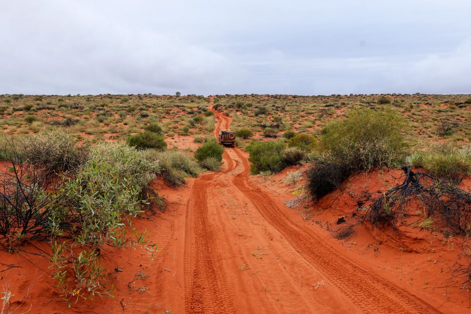 German Backpacker Carolina Wilga Reveals How She Survived 11 Nights Lost in WA's Outback