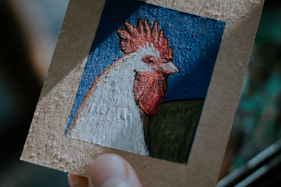 Melbourne Royal Show Poultry Competition Cancelled Over H5 Bird Flu Fears