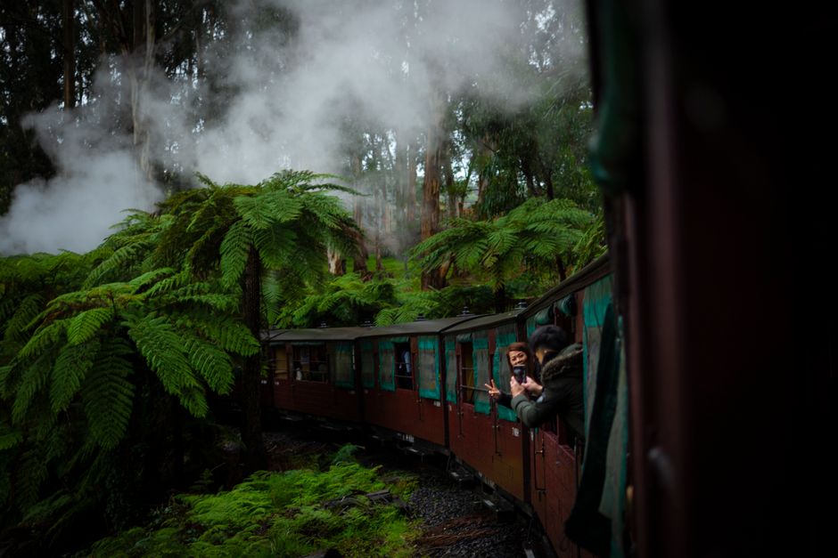 The Anti-Bullet Train: Tasmania's West Coast Wilderness Railway Tops Out at 20km/h